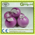 onion peeling machine root & head cutter machine